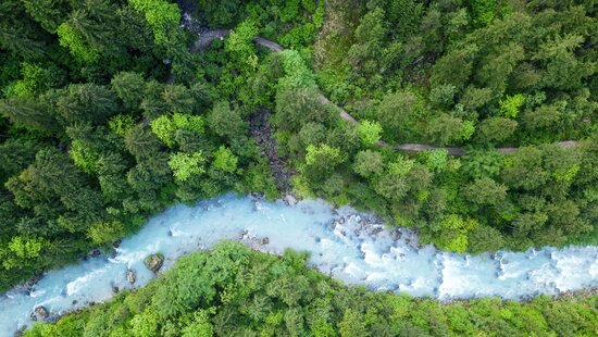 Blick von oben auf blauen Fluss zwischen grünen Bäumen